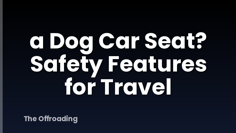 a Dog Car Seat? Safety Features for Travel