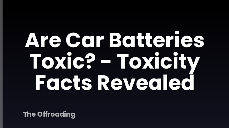 Are Car Batteries Toxic? - Toxicity Facts Revealed