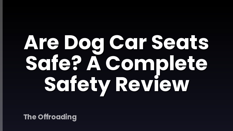 Are Dog Car Seats Safe? A Complete Safety Review