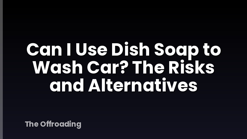 Can I Use Dish Soap to Wash Car? The Risks and Alternatives