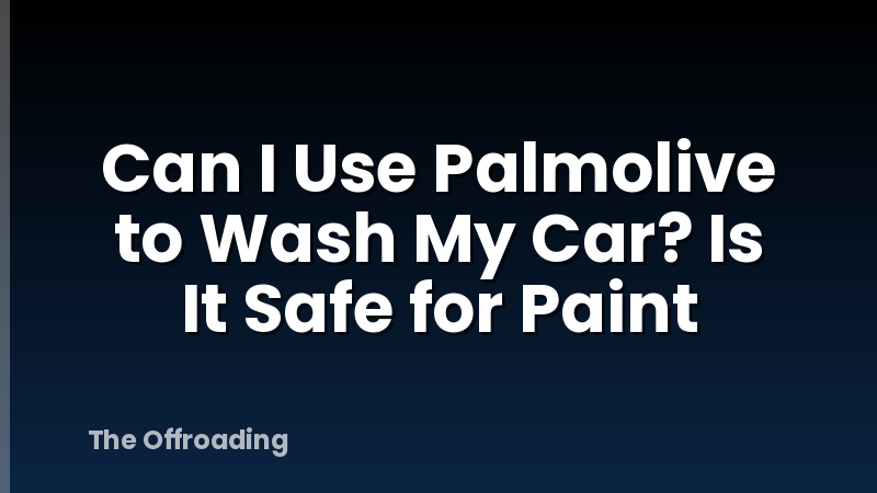 Can I Use Palmolive to Wash My Car? Is It Safe for Paint