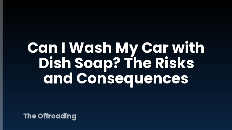 Can I Wash My Car with Dish Soap? The Risks and Consequences