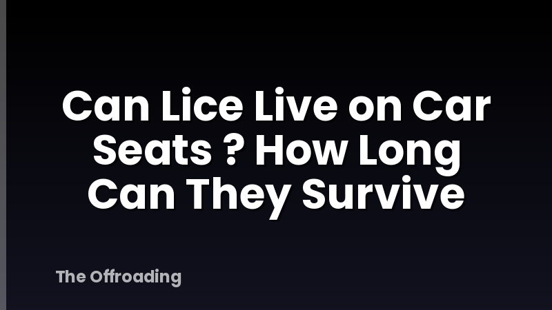 Can Lice Live on Car Seats ? How Long Can They Survive
