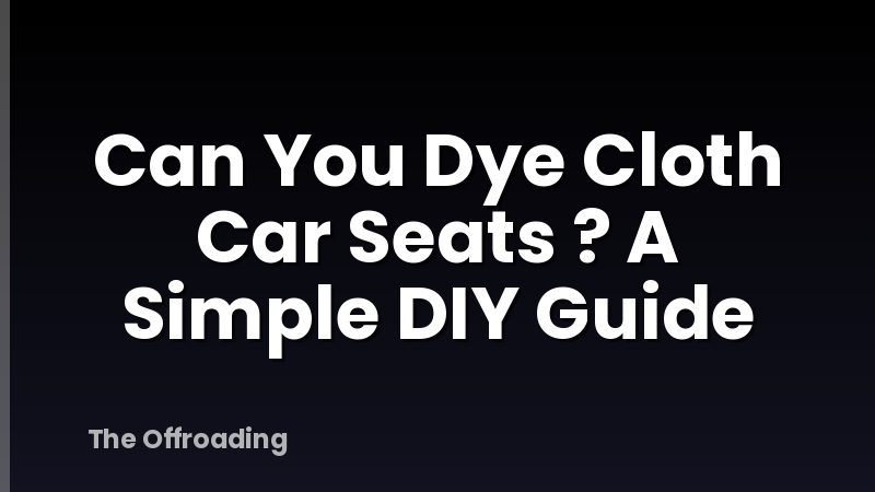 Can You Dye Cloth Car Seats ? A Simple DIY Guide