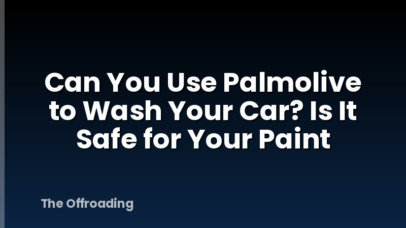 Can You Use Palmolive to Wash Your Car? Is It Safe for Your Paint