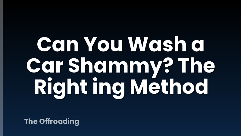 Can You Wash a Car Shammy? The Right ing Method