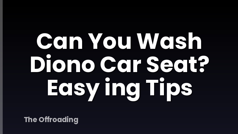 Can You Wash Diono Car Seat? Easy ing Tips