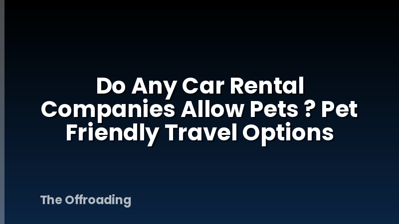 Do Any Car Rental Companies Allow Pets ? Pet Friendly Travel Options