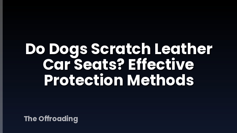 Do Dogs Scratch Leather Car Seats? Effective Protection Methods