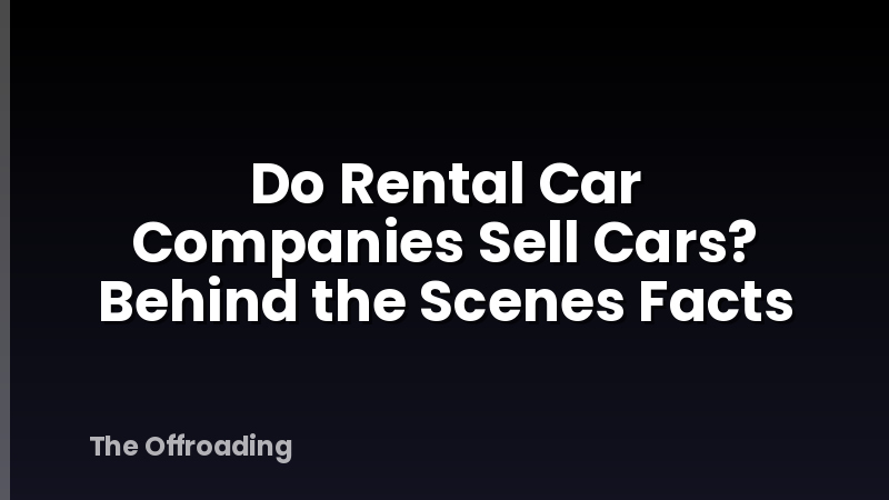 Do Rental Car Companies Sell Cars? Behind the Scenes Facts