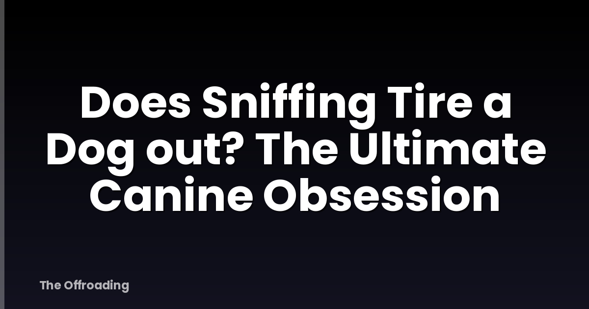 Does Sniffing Tire a Dog out? The Ultimate Canine Obsession