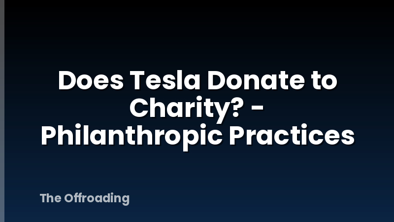 Does Tesla Donate to Charity? - Philanthropic Practices