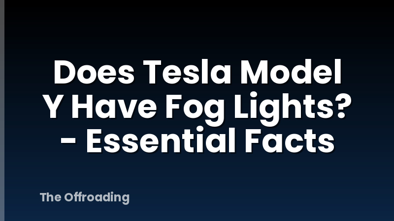Does Tesla Model Y Have Fog Lights? - Essential Facts