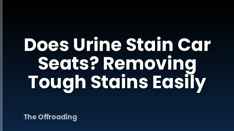 Does Urine Stain Car Seats? Removing Tough Stains Easily