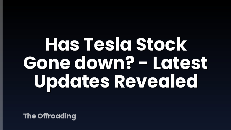Has Tesla Stock Gone down? - Latest Updates Revealed