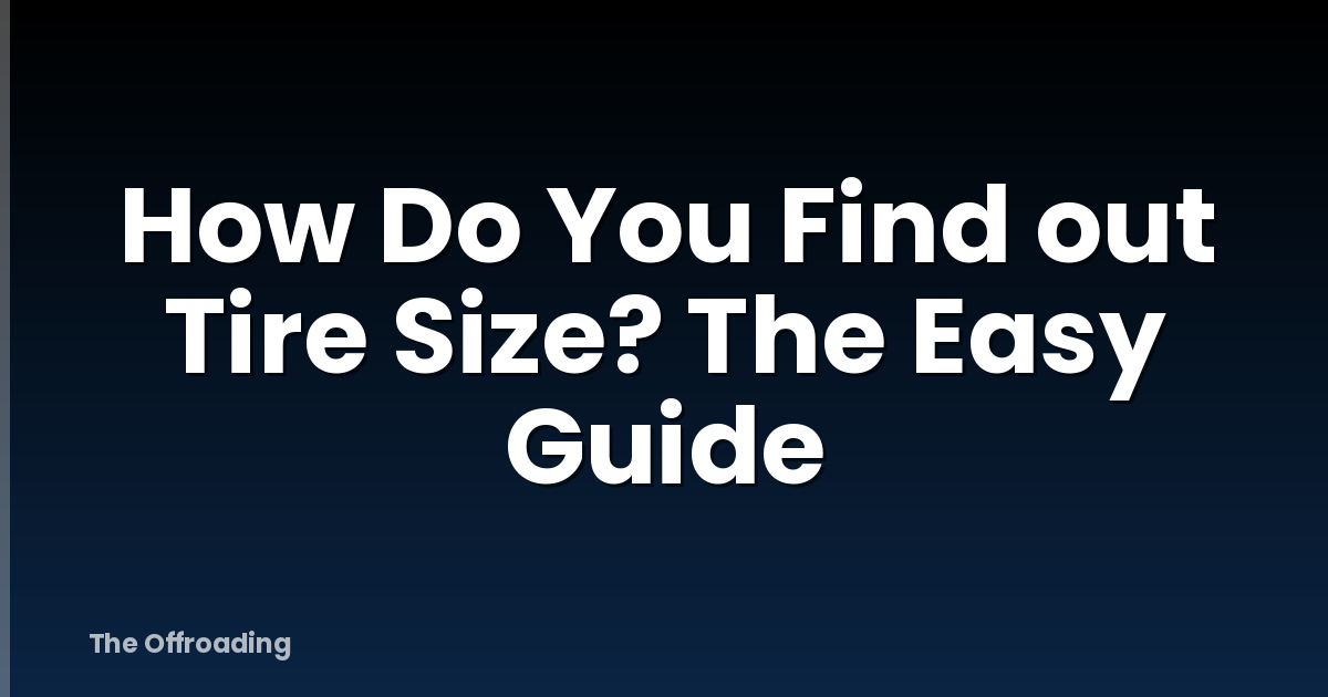 How Do You Find out Tire Size? The Easy Guide