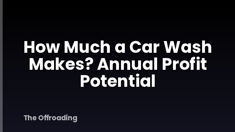 How Much a Car Wash Makes? Annual Profit Potential