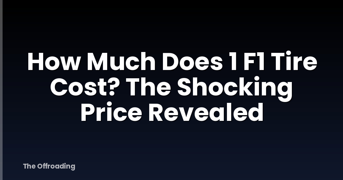 How Much Does 1 F1 Tire Cost? The Shocking Price Revealed