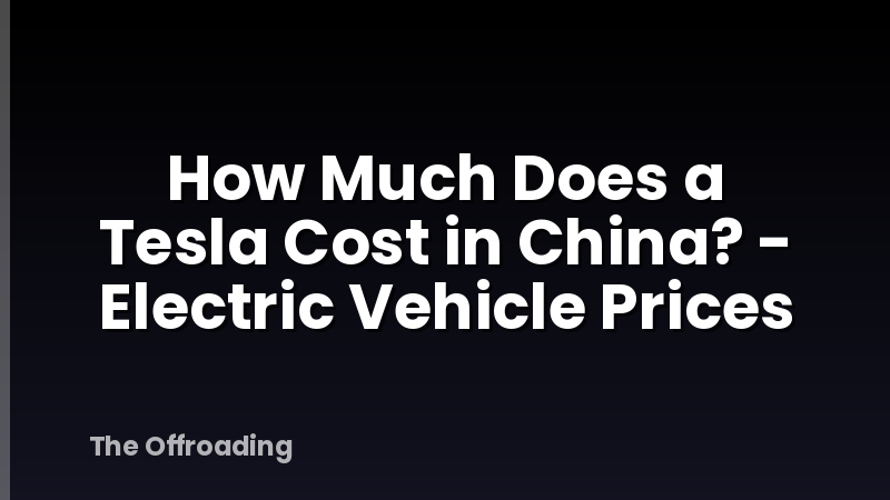 How Much Does a Tesla Cost in China? - Electric Vehicle Prices