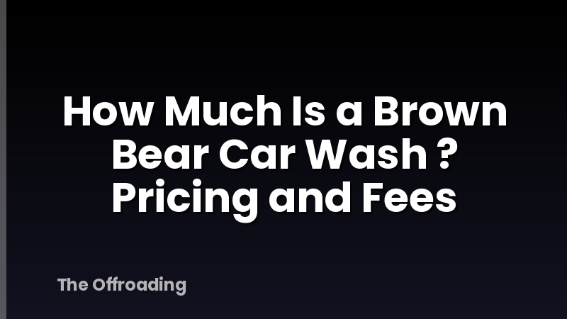 How Much Is a Brown Bear Car Wash ? Pricing and Fees