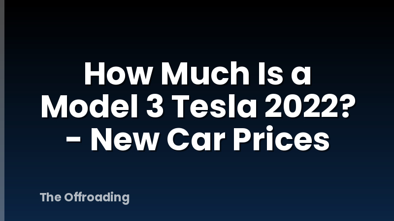 How Much Is a Model 3 Tesla 2022? - New Car Prices