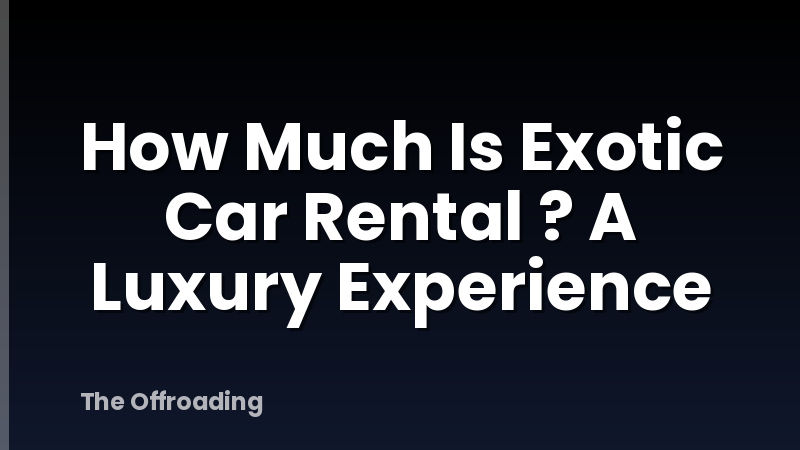 How Much Is Exotic Car Rental ? A Luxury Experience