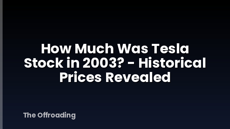 How Much Was Tesla Stock in 2003? - Historical Prices Revealed