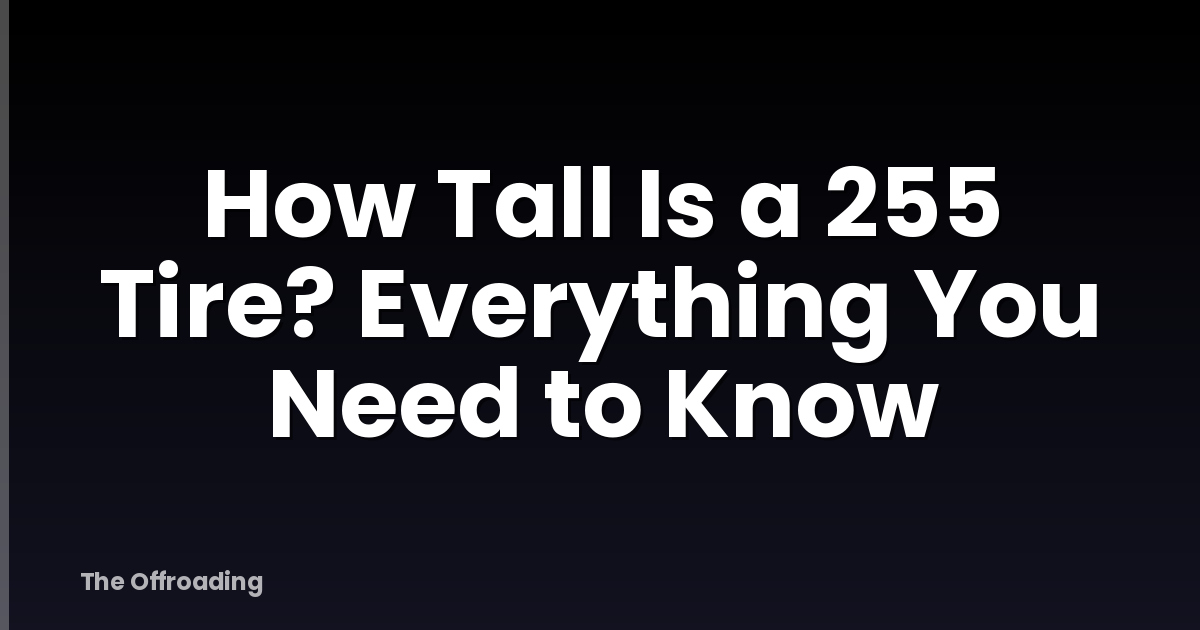 How Tall Is a 255 Tire? Everything You Need to Know