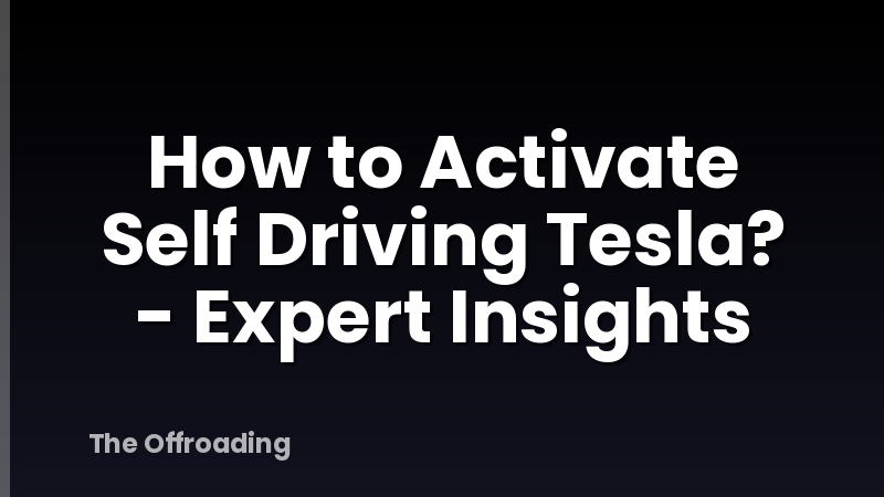 How to Activate Self Driving Tesla? - Expert Insights