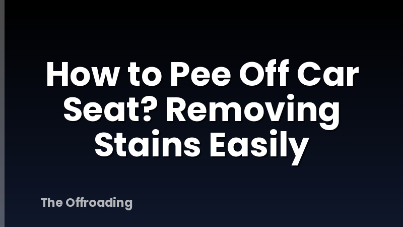 How to Pee Off Car Seat? Removing Stains Easily