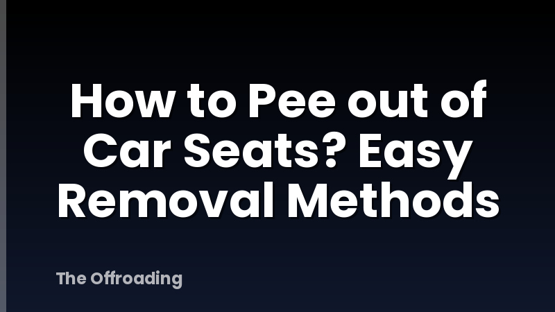 How to Pee out of Car Seats? Easy Removal Methods