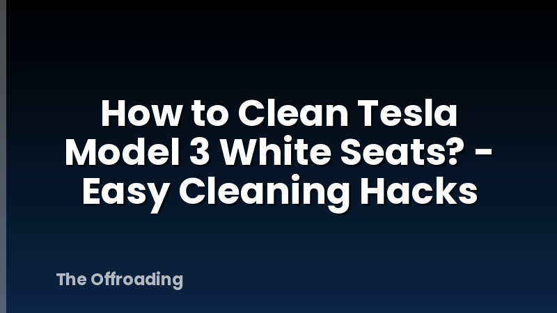 How to Clean Tesla Model 3 White Seats? - Easy Cleaning Hacks