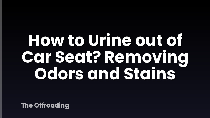How to Urine out of Car Seat? Removing Odors and Stains