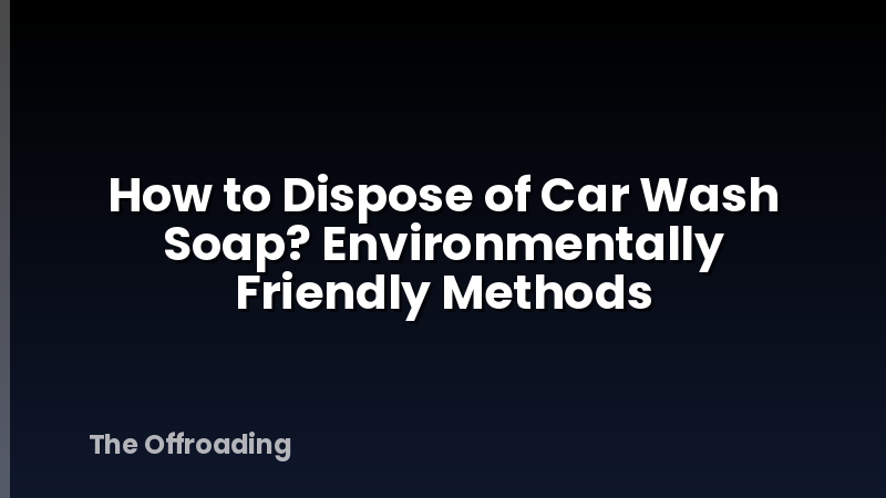How to Dispose of Car Wash Soap? Environmentally Friendly Methods