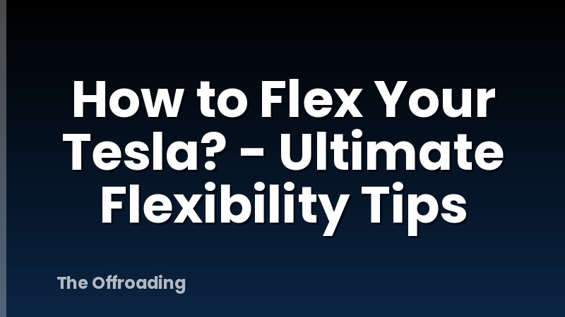 How to Flex Your Tesla? - Ultimate Flexibility Tips