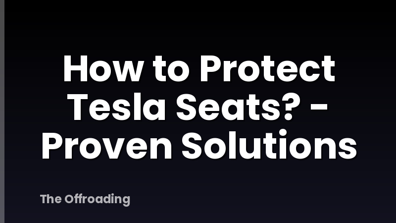 How to Protect Tesla Seats? - Proven Solutions