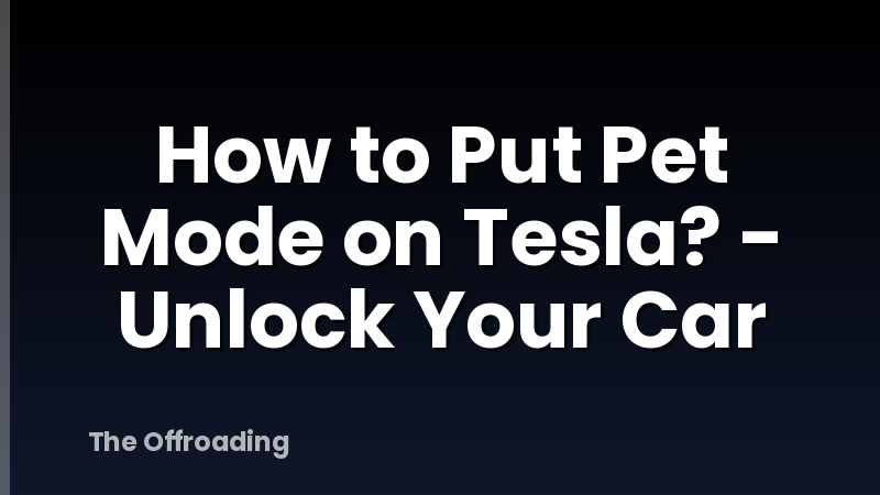 How to Put Pet Mode on Tesla? - Unlock Your Car