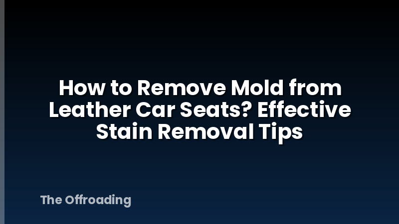 How to Remove Mold from Leather Car Seats? Effective Stain Removal Tips