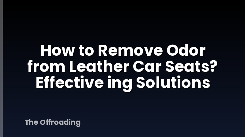 How to Remove Odor from Leather Car Seats? Effective ing Solutions