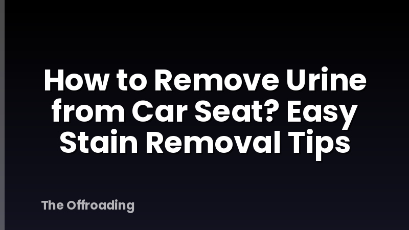 How to Remove Urine from Car Seat? Easy Stain Removal Tips