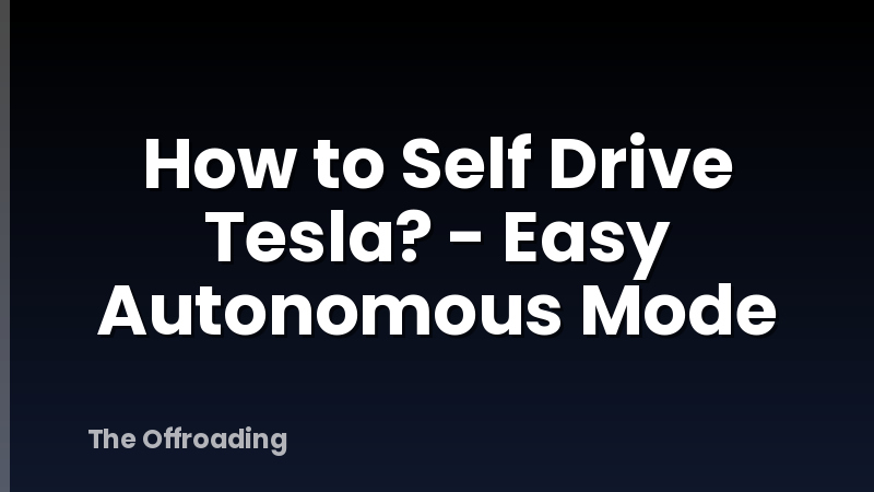 How to Self Drive Tesla? - Easy Autonomous Mode
