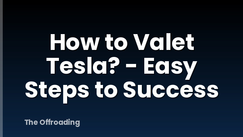How to Valet Tesla? - Easy Steps to Success