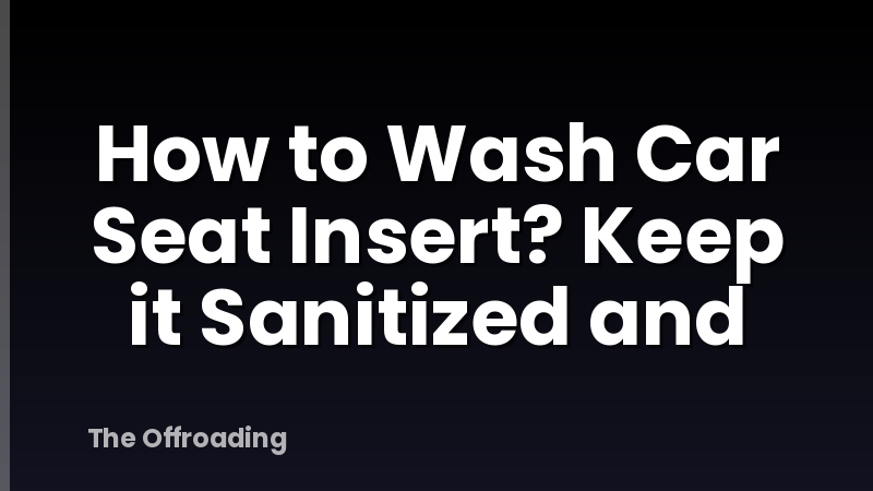 How to Wash Car Seat Insert? Keep it Sanitized and