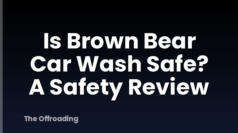 Is Brown Bear Car Wash Safe? A Safety Review