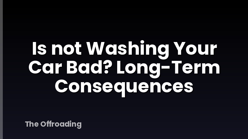 Is not Washing Your Car Bad? Long-Term Consequences