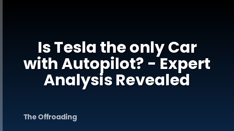 Is Tesla the only Car with Autopilot? - Expert Analysis Revealed