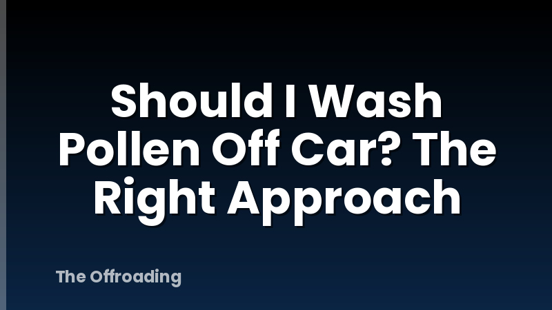 Should I Wash Pollen Off Car? The Right Approach