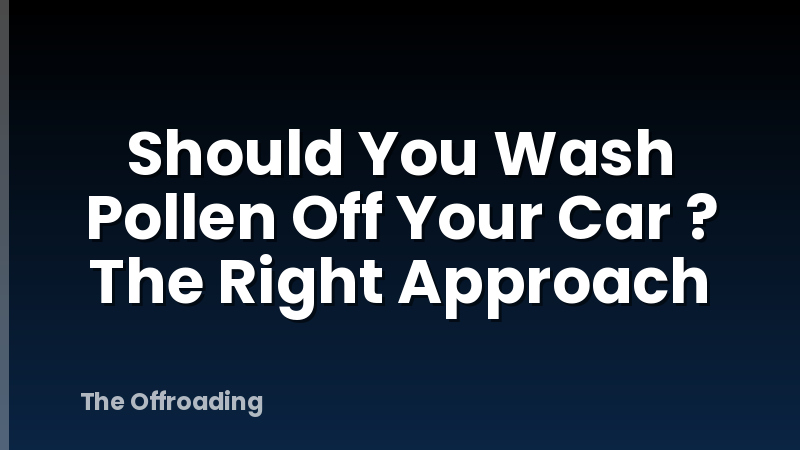 Should You Wash Pollen Off Your Car ? The Right Approach