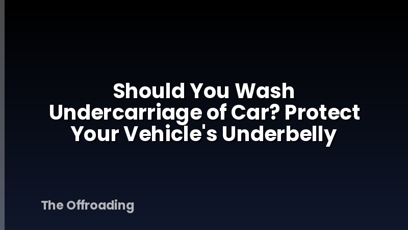 Should You Wash Undercarriage of Car? Protect Your Vehicle's Underbelly