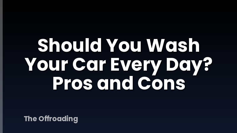 Should You Wash Your Car Every Day? Pros and Cons